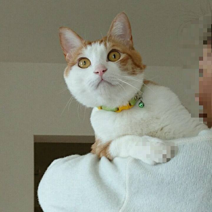 48d3f535 7bc4 45ab ac23 bb910ef7d7a8