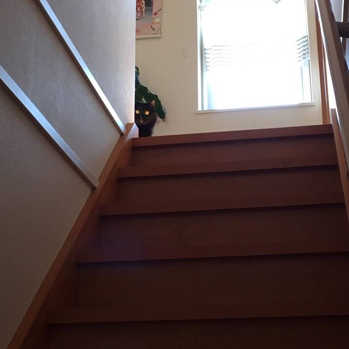 48d40e7f 8a9b 47e6 9a9f eb5a6f263ac8