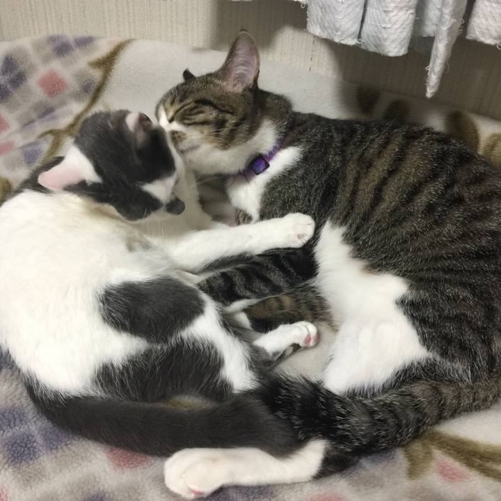 48d451a6 8279 41dc a938 5aa9a7f0d50c