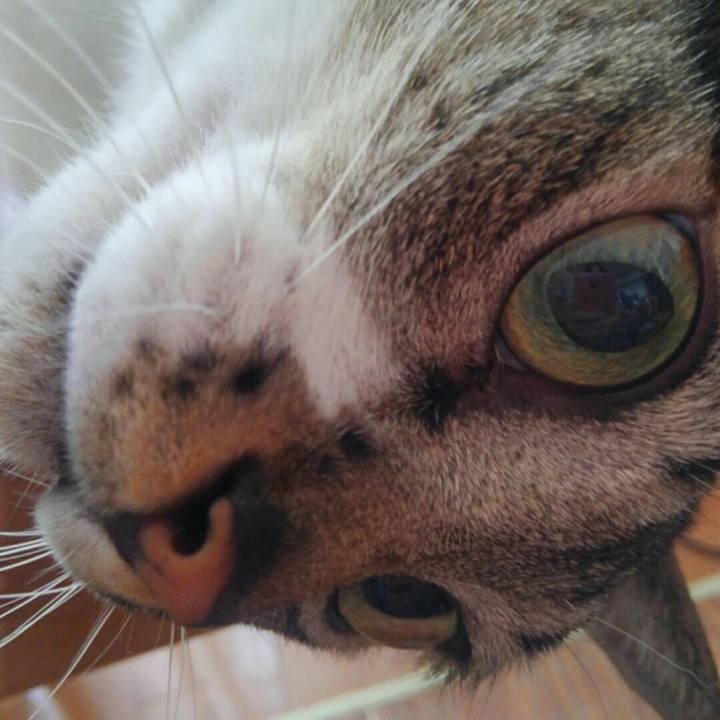 48d4814a b7a9 43a9 88e7 a39dd6112949