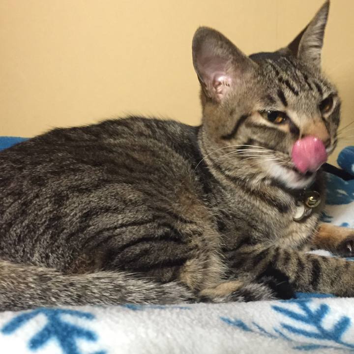 48d491e1 cd02 4897 a112 530f1f9ce72b