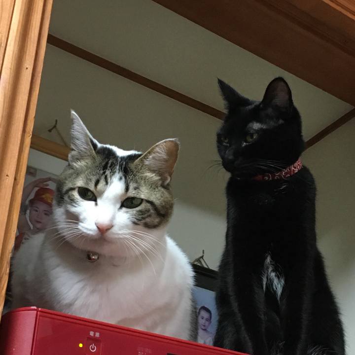 48d4d8e3 e585 4f69 aa66 eb3062383452