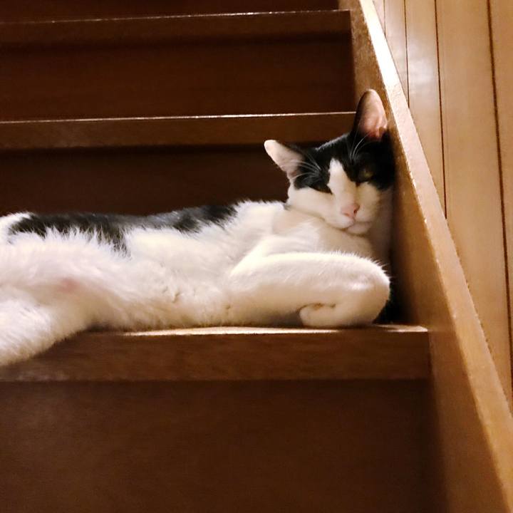 48d4e8a1 58da 4e33 8ef8 28fc17af1955