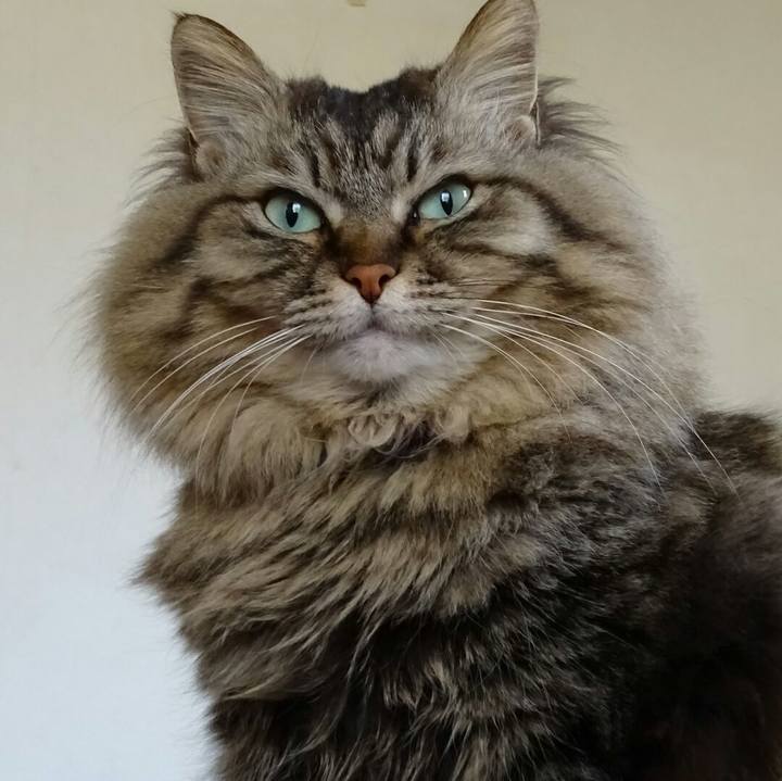 48d542a8 442f 42e8 8b79 fd4f54c8faf7