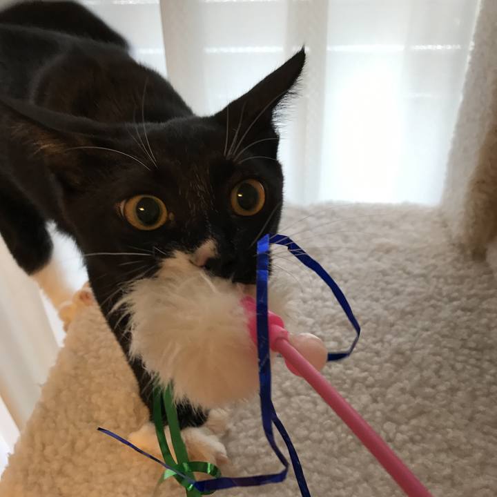 48d54680 7f48 4816 bf09 365c574b7d82