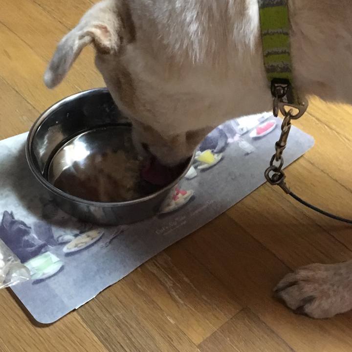 48d55005 d5ed 4b7d 8452 157ebea83bbe