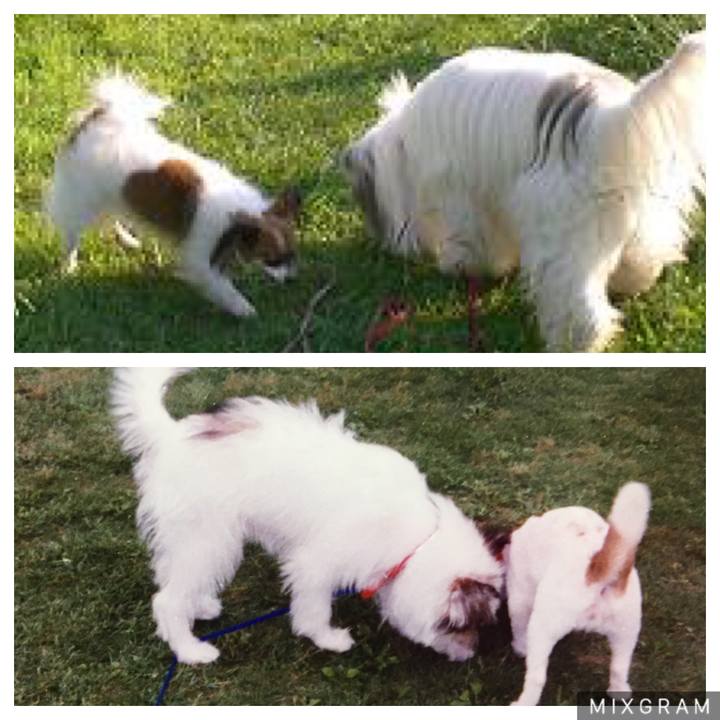 48d55d28 17a9 422a a240 6568a231e1ec