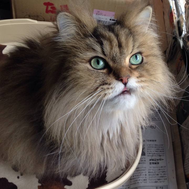 48d64b68 96e6 4ee4 8d63 77a04f75428a