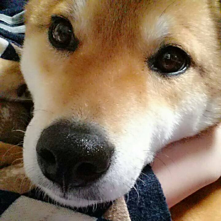 48d6b34a 2d9f 48ce b925 08e0451d355b