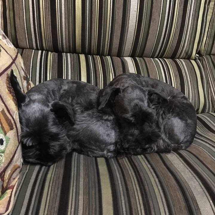 48d6e1af 9387 4256 8495 8e6d44abc077