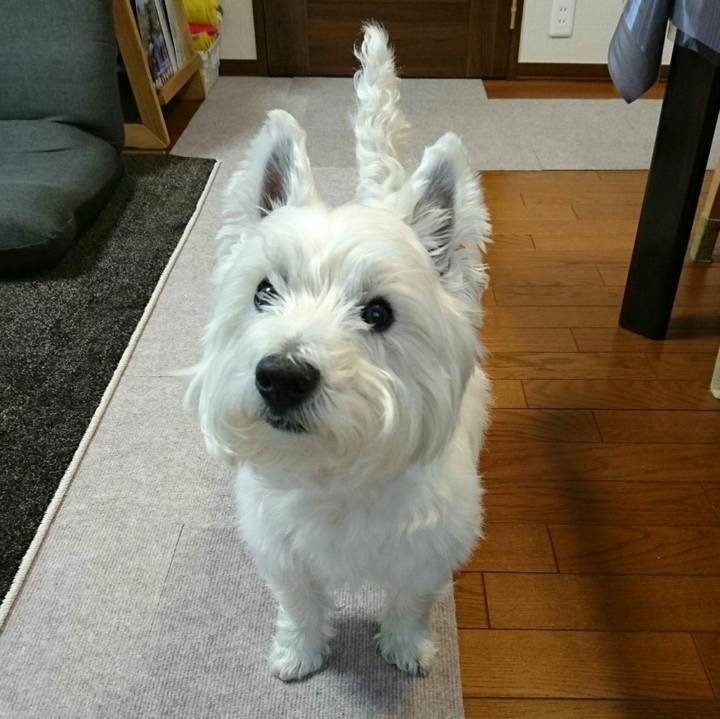 48d6edf2 9b74 4c61 8bb0 81e90291d37d