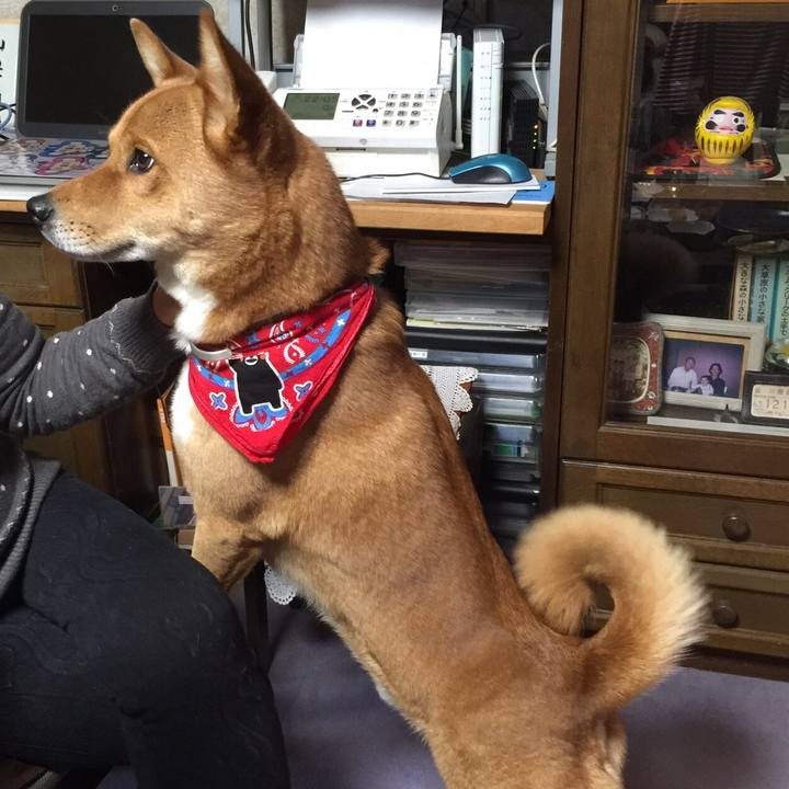 48d716f2 0020 47c0 9c74 3995ed20fd62