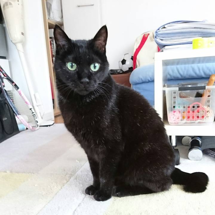 48d777c1 7399 4239 8241 c97e69eb95f4