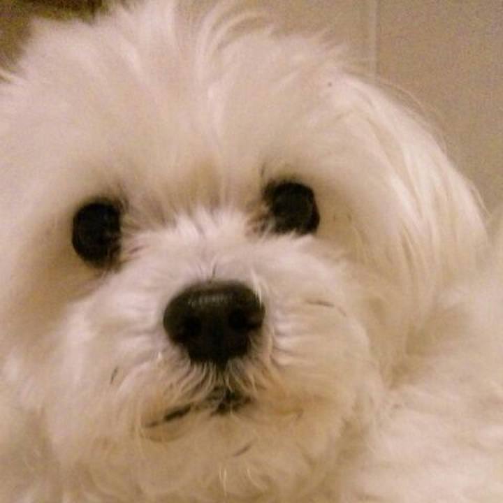 48d86f13 c0ab 4f92 b4b0 de04ba2be07d