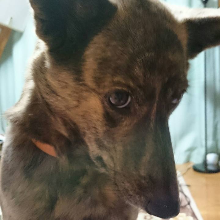 48d8a370 ab62 4e5d 8628 144568e52fde