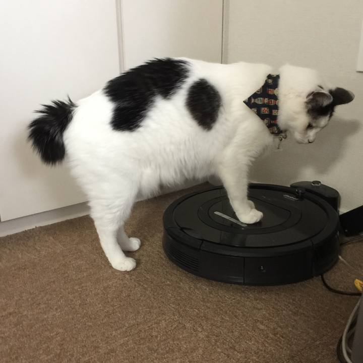 48d9c2bf d0f4 4569 a4a6 ca5acec5b272