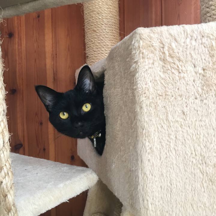 48da1818 f085 4afc 8cc6 6cf23216cb1b