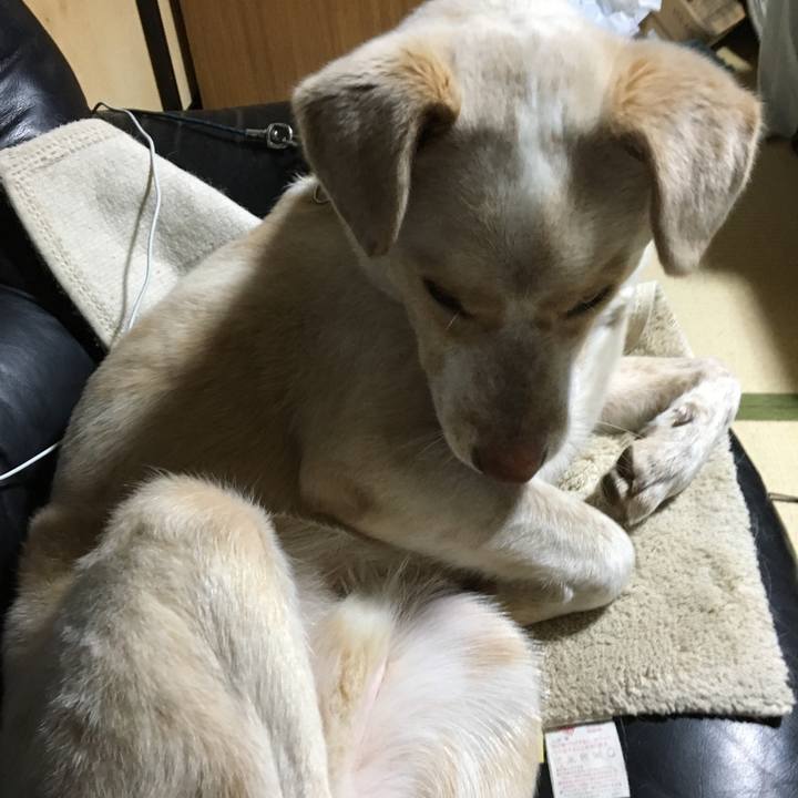 48da7049 0dab 4065 bdca eb6be76842d9