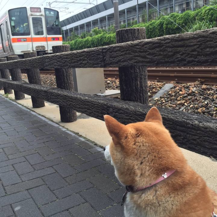 48dad499 3496 4ac4 b376 07d63b0b4af5