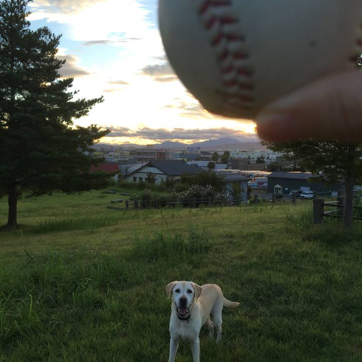 48daef96 8b15 49f2 a169 c10e059af49b