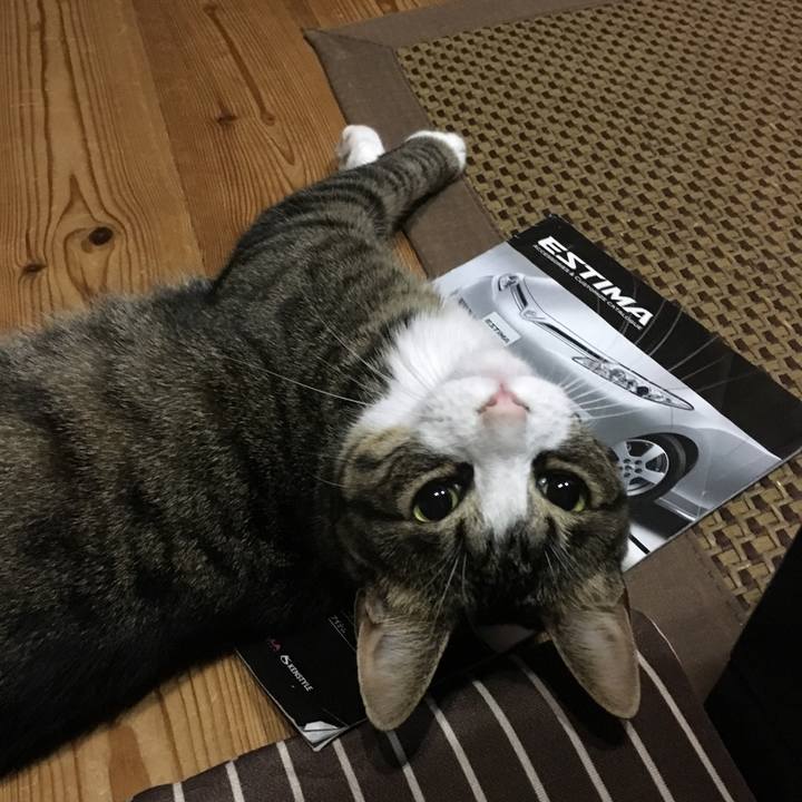 48db0471 493c 4530 828d 723ee68c04a0