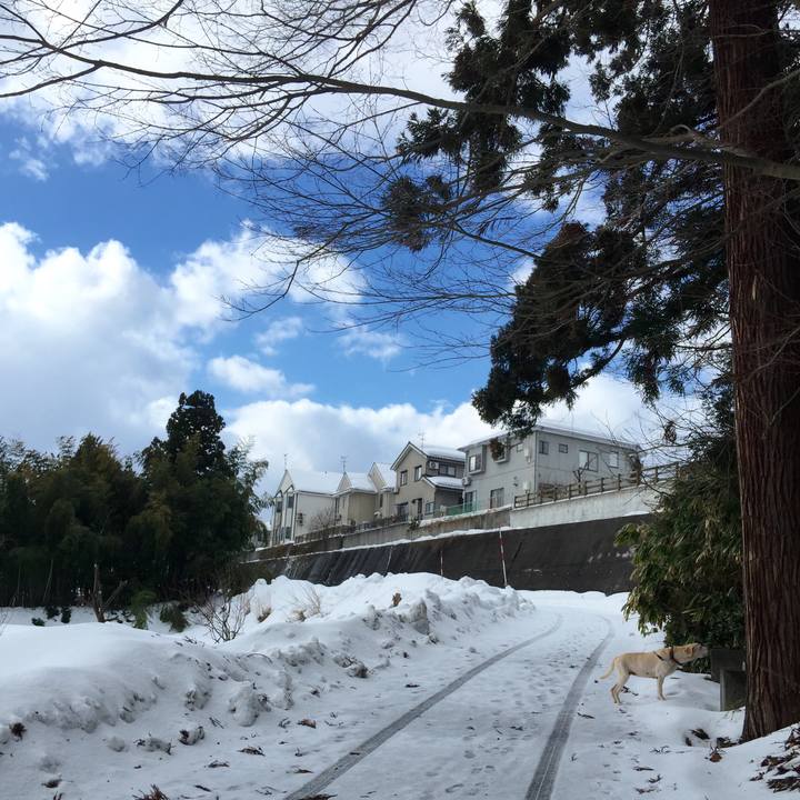 48db4bc0 73c5 484f 9f1f df33e0ba02c8