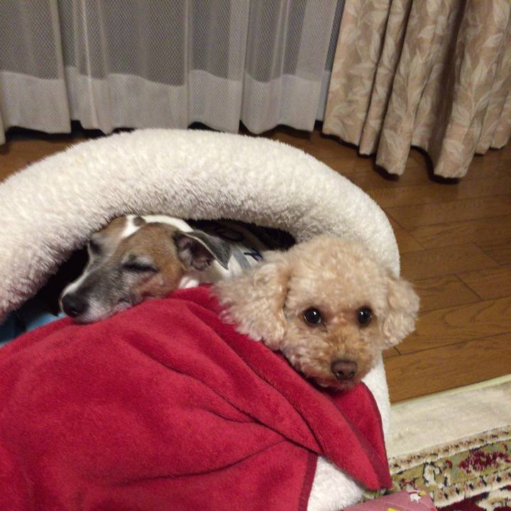 48dbd8b1 c081 4f6e b254 b7e8a74d0d78