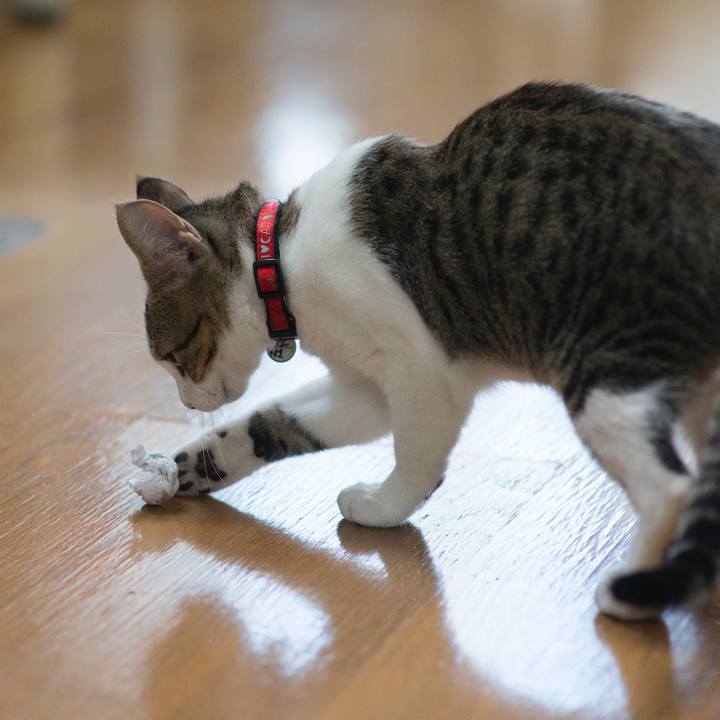 48dc0199 dc1e 4e74 b1a9 0f263637b93a