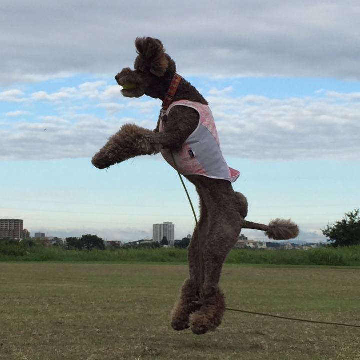 48dc6790 08ff 464c a3d0 33192aacb366