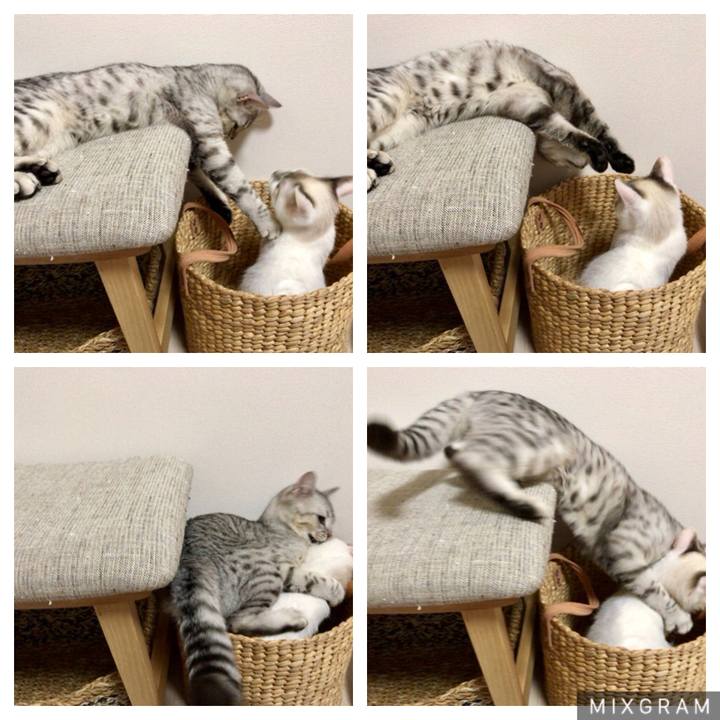 48dca3e9 1ac9 4d4f abe8 aff74b8ba378