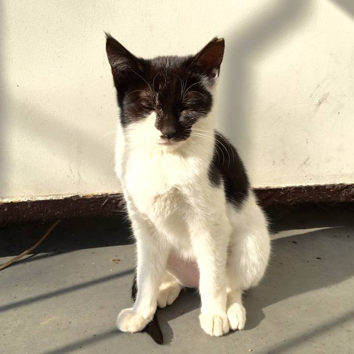 48dd2f10 fd80 4b85 95d9 e3b967db6a36