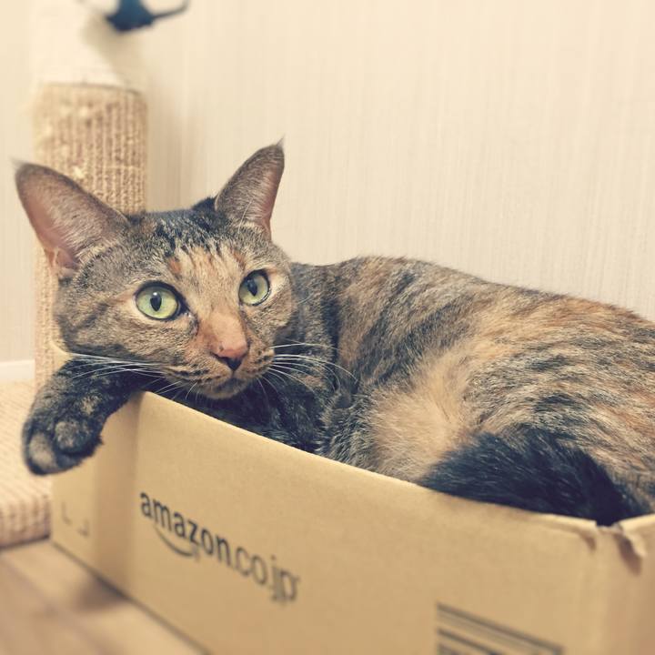 48dea0ea 4739 47af badf b57a75869295