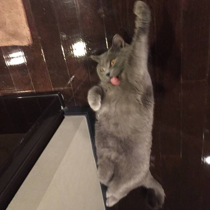 48df2709 3bca 48e3 81de f144ac8c964e