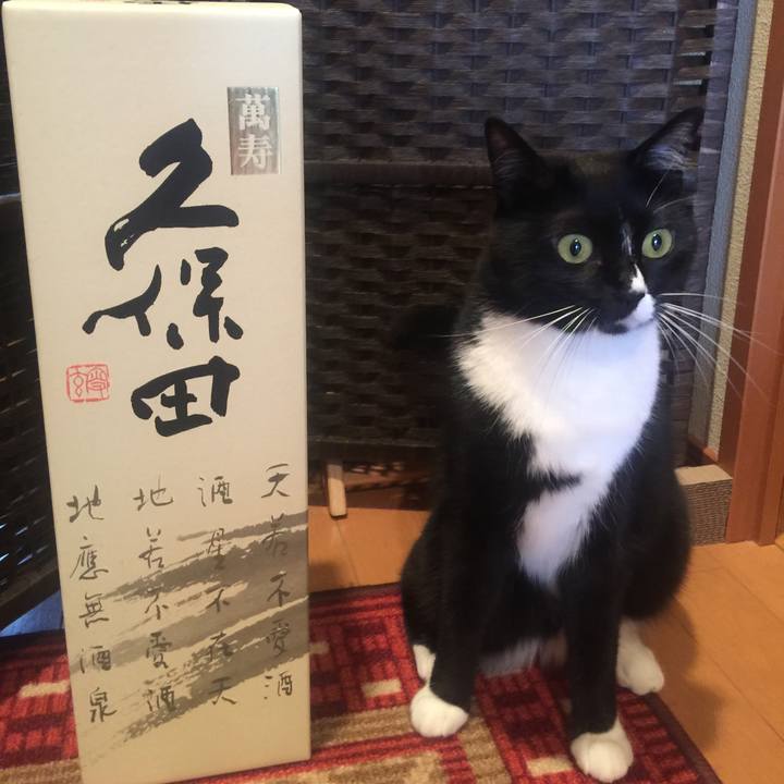 48e0aca8 5a09 4f8f 8482 12dd187d5b03