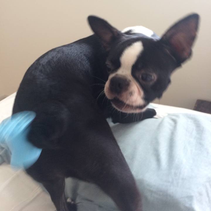 48e1344f d670 4798 ab13 1e0e5363768b