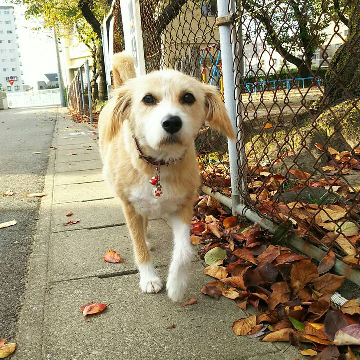 48e1c0ed 3f29 4bad 9edd 070b4e6f08a9