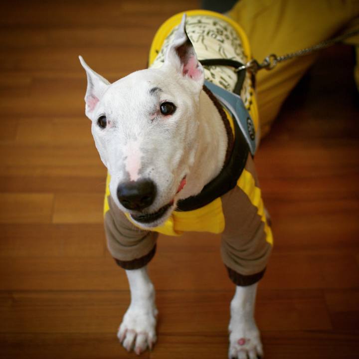 48e2f7c9 f5f1 4f2d 8701 9658bd37a32b