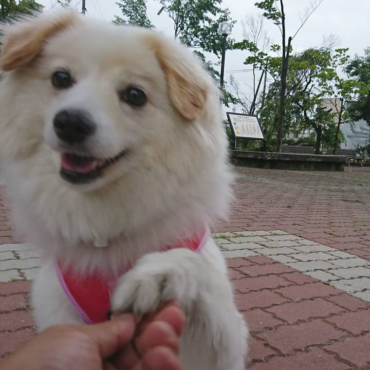 48e3af97 f890 4a52 936c 038fd79d4fa7