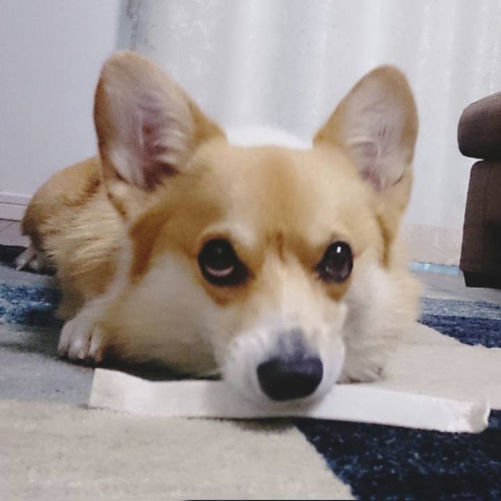 48e4033a 6b01 4ff8 897b 2e1b4530322b