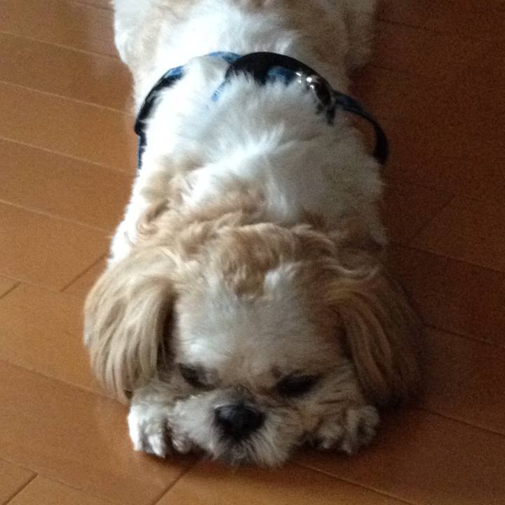 48e4224d 92b6 45af aa5d 42ba2e82316d