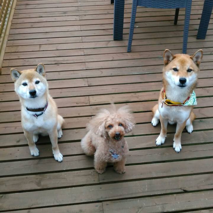 48e4a0f0 f86e 4a0e 9c0e d7e635979c8c