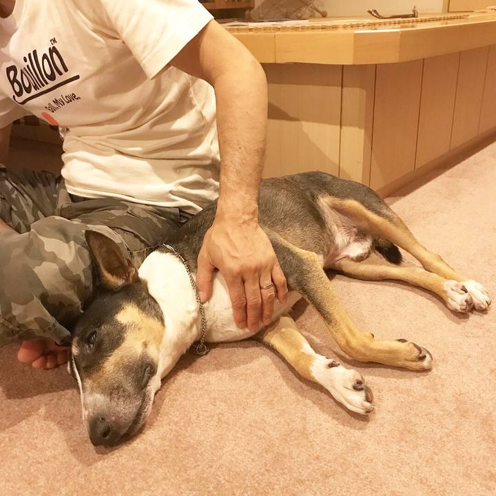 48e4d5e1 a939 4110 b864 3395ba869735