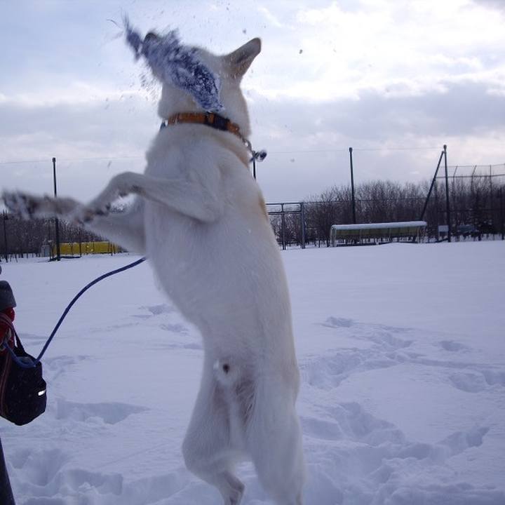 48e55495 25e1 4bfd b4aa 21d158b73221