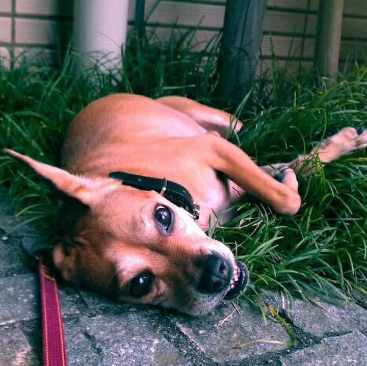 48e5d180 d063 4049 83fd f5624ecffebc