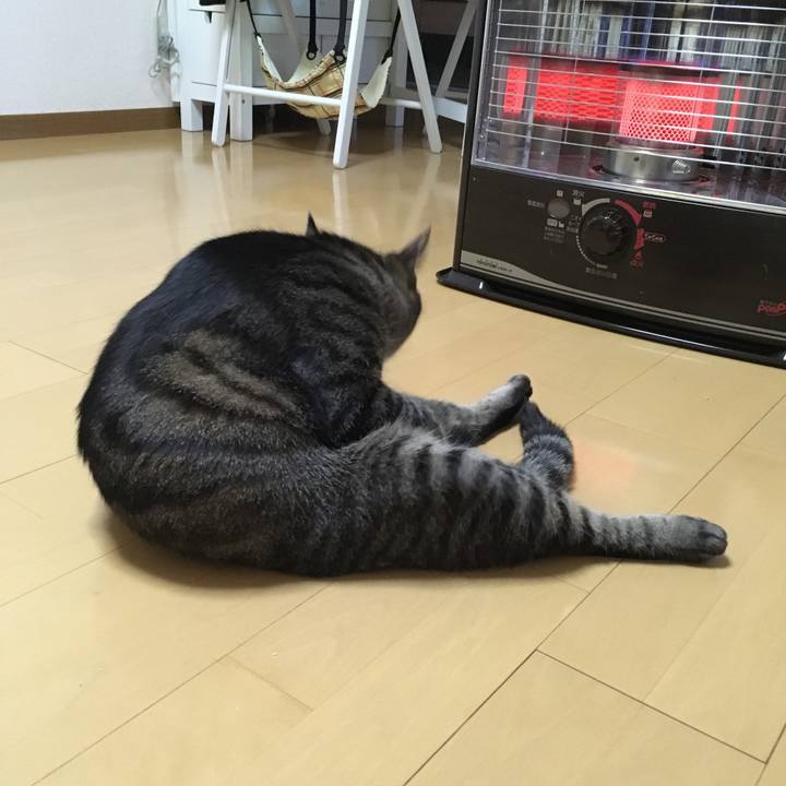 48e5dd2b 2429 4e62 84a7 794f13f68c5b