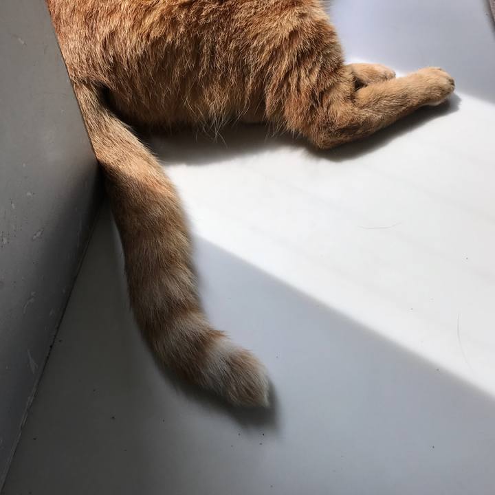 48e5f7d6 776d 4512 8bad 911eeb2ed244