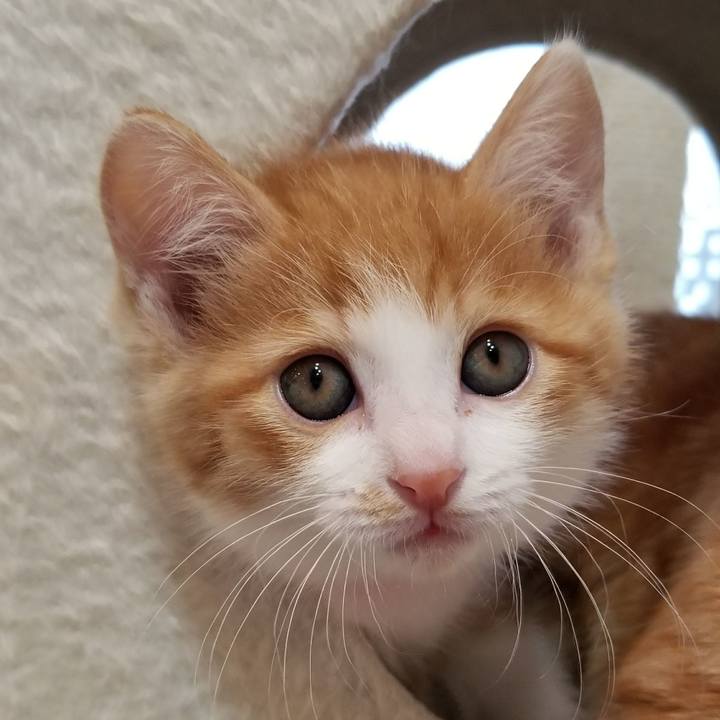 48e76f60 d45b 4f3c 978a ab3556d050ed