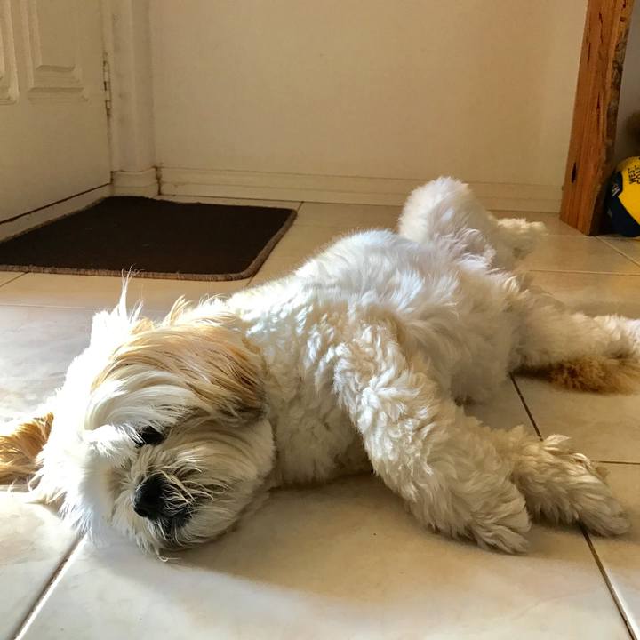 48e8df91 0709 4fb0 844b 1720def2defd