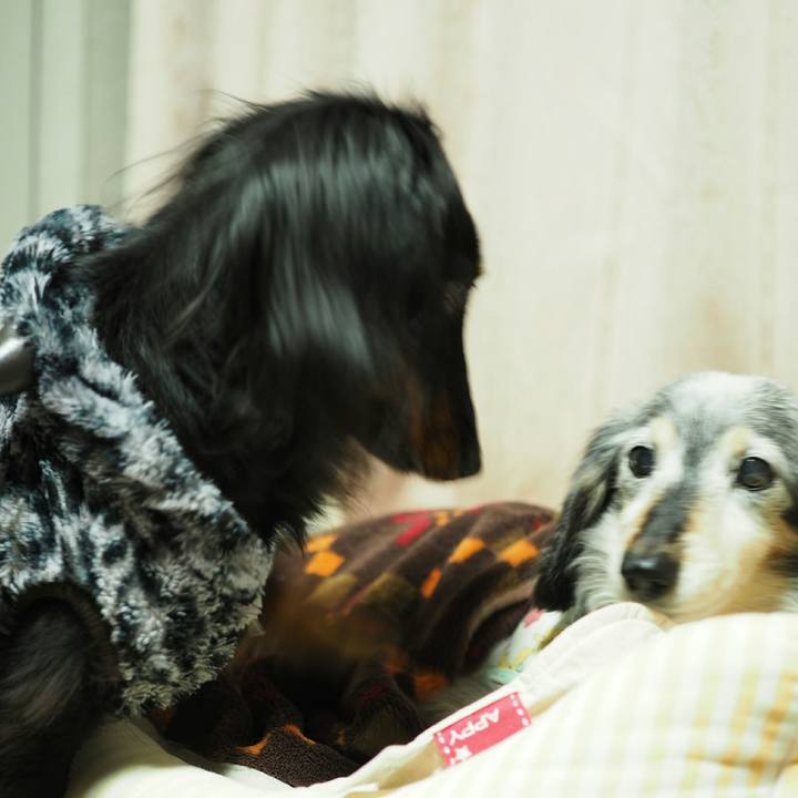 48e9342d 7243 461a b8b8 883c314a0c7c