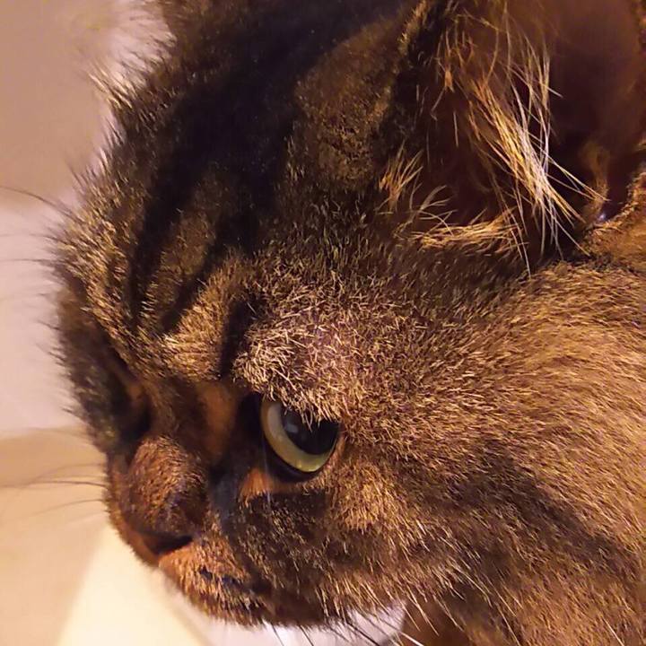 48ea7874 5b28 4340 a1de 35e76128c29e